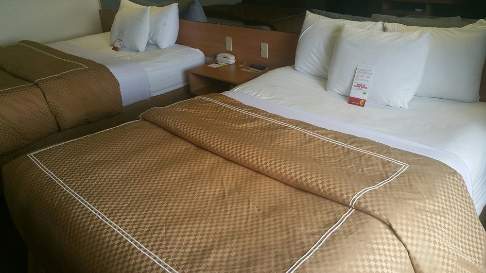 Sonesta Essential Hotel בלו ספרינגס מראה חיצוני תמונה